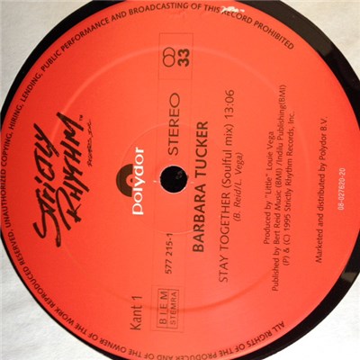 Barbara Tucker - Stay Together download mp3 flac