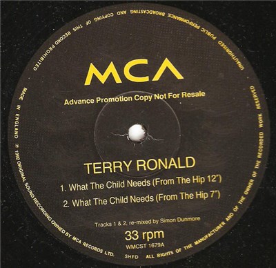 Terry Ronald - What The Child Needs download mp3 flac