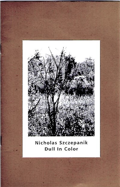 Nicholas Szczepanik - Dull In Color download mp3 flac