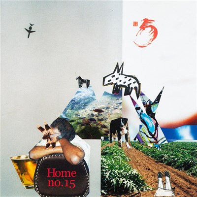 Home - No. 15 download mp3 flac