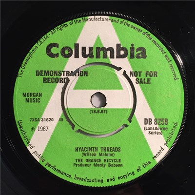 The Orange Bicycle - Hyacinth Threads download mp3 flac