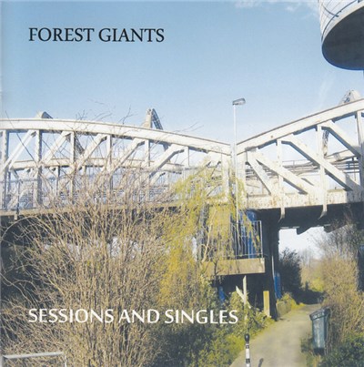 Forest Giants - Sessions And Singles download mp3 flac