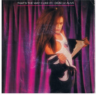 Dead Or Alive - That's The Way (I Like It) download mp3 flac