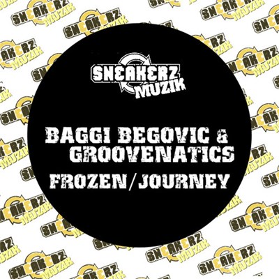 Baggi Begovic & Groovenatics - Frozen / Journey download mp3 flac
