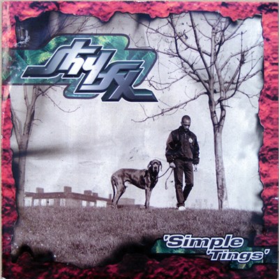 Shy FX - Simple 'Tings download mp3 flac