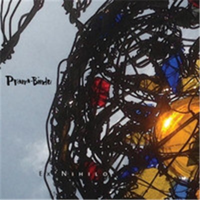 Prana-Bindu - Ex Nihilo download mp3 flac