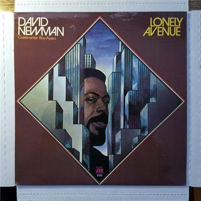 David Newman - Lonely Avenue download mp3 flac