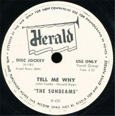 The Sunbeams - Tell Me Why / Come Back Baby download mp3 flac