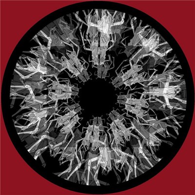 The Wirebug - The Uncontrollable H Disease download mp3 flac