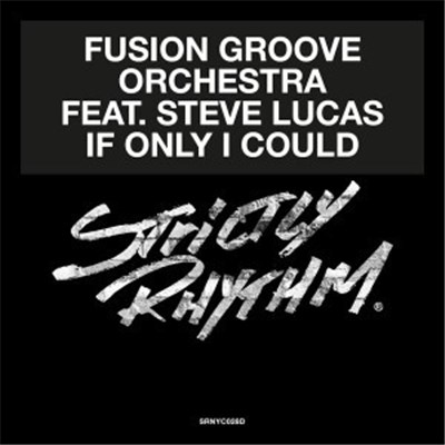 Fusion Groove Orchestra Featuring Steve Lucas - If Only I Could download mp3 flac