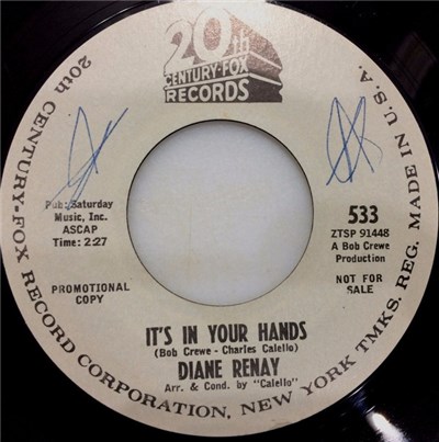 Diane Renay - It's In Your Hands download mp3 flac