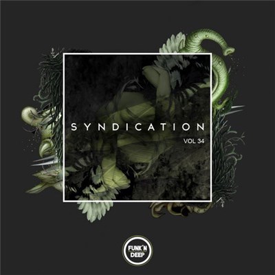 Various - Syndication Vol 34 download mp3 flac