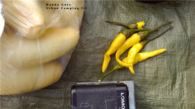 Handa Gote - Urban Camping III download mp3 flac