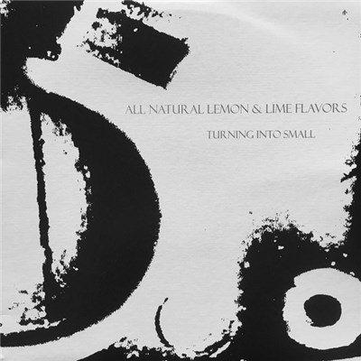 All Natural Lemon & Lime Flavors - Turning Into Small download mp3 flac