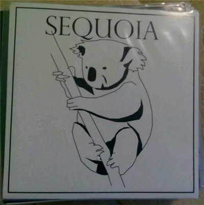 Sequoia - Sequoia download mp3 flac
