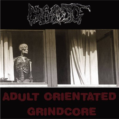 Grindustry / Din-Addict - Planet Boring Population You / Adult Orientated Grindcore download mp3 flac