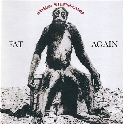 Simon Steensland - Fat Again download mp3 flac