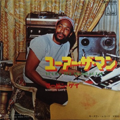 Marvin Gaye - ユーアー・ザ・マン = You're The Man (Part 1 And 2) download mp3 flac