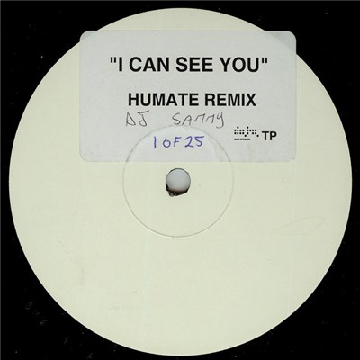 DJ Sammy - I Can See You (Humate Remix) download mp3 flac