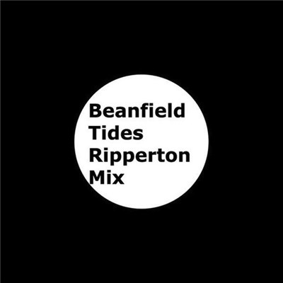 Beanfield - Tides (Ripperton Mix) download mp3 flac