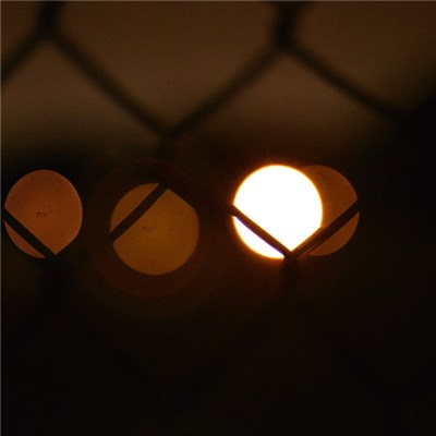 Fluxion - Vibrant Forms download mp3 flac