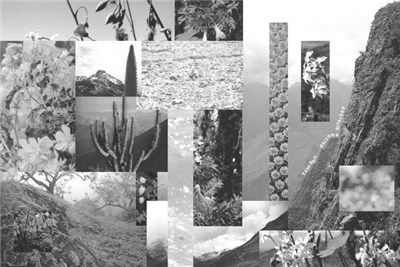 Venn Rain - Rhizome Riverbed download mp3 flac