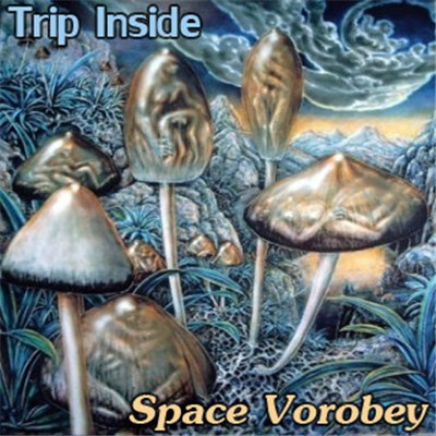 Space Vorobey - Trip Inside download mp3 flac