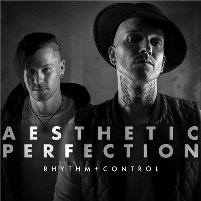 Aesthetic Perfection - Rhythm + Control download mp3 flac