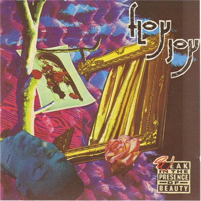 Floy Joy - Weak In The Presence Of Beauty download mp3 flac
