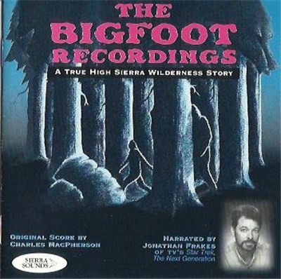 No Artist - The Bigfoot Recordings (A True High Sierra Wilderness Story) download mp3 flac