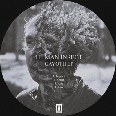 Human Insect - Gayoth EP download mp3 flac