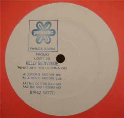 Kelly Bienvenue - What Are You Gonna Do? download mp3 flac