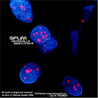 Sfum - Microcells Structures download mp3 flac