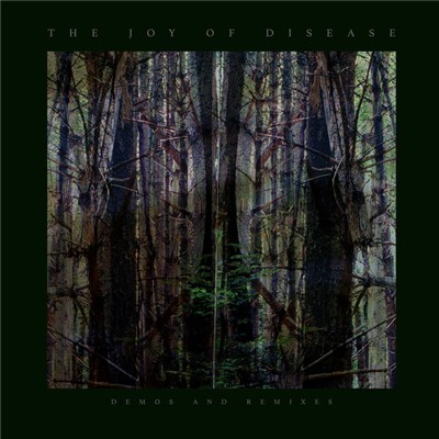 James Plotkin - The Joy Of Disease: Demos And Remixes download mp3 flac