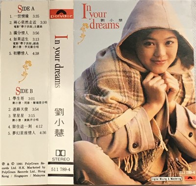 劉小慧 - In Your Dreams download mp3 flac