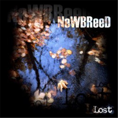 NeWBReeD - Lost download mp3 flac