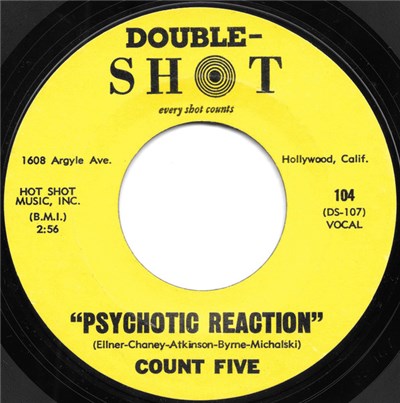 Count Five - Psychotic Reaction download mp3 flac