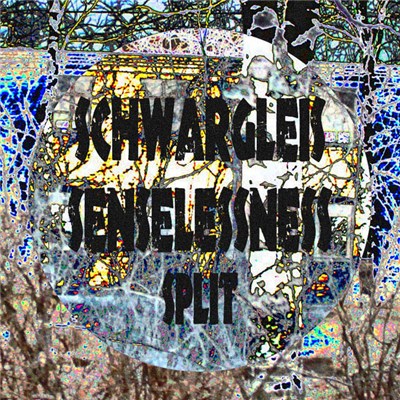Schwargleis / senselessness - Split download mp3 flac
