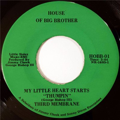 Third Membrane - My Little Heart Starts "Thumpin" download mp3 flac