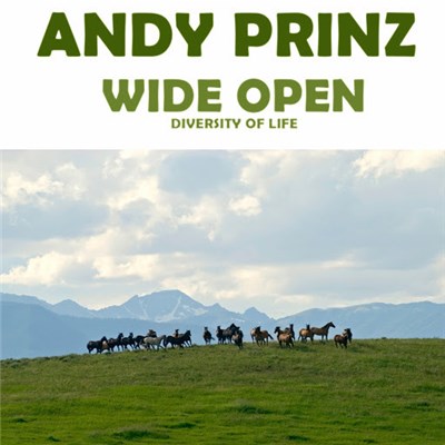 Andy Prinz - Wide Open (Diversity Of Life) download mp3 flac