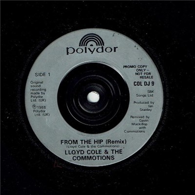 Lloyd Cole & The Commotions - From The Hip (Remix) download mp3 flac