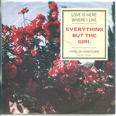 Everything But The Girl - Love Is Here Where I Live download mp3 flac