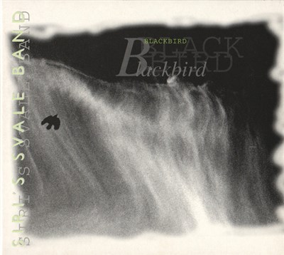 Siri's Svale Band - Blackbird download mp3 flac