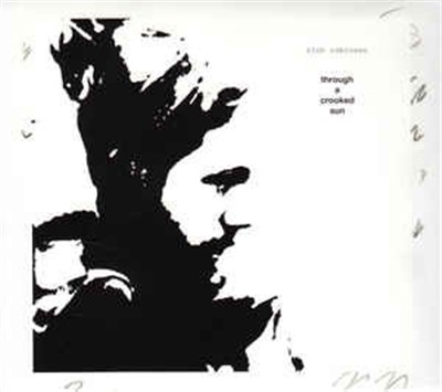 Rich Robinson - Through A Crooked Sun download mp3 flac