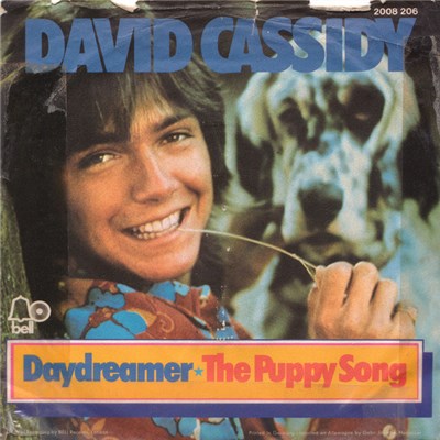 David Cassidy - Daydreamer ⋆ The Puppy Song download mp3 flac