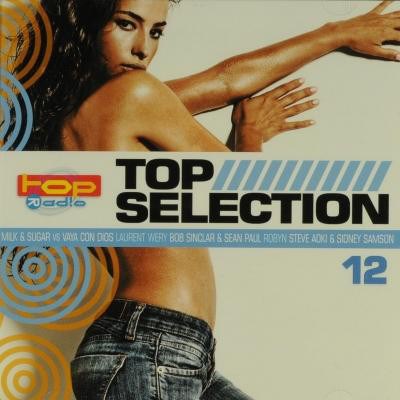 Various - Top Selection 12 download mp3 flac