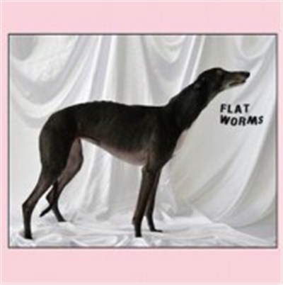 Flat Worms - Flat Worms download mp3 flac