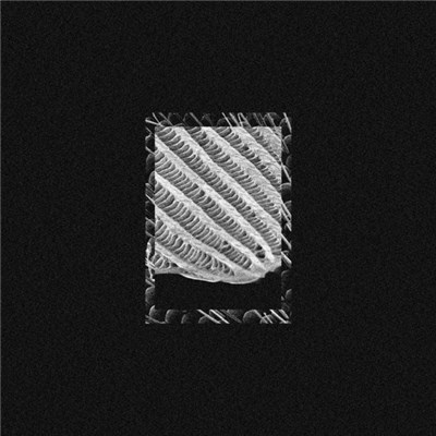Tim Tama - Complacency download mp3 flac