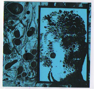 Disguises - Forming 3.5 download mp3 flac