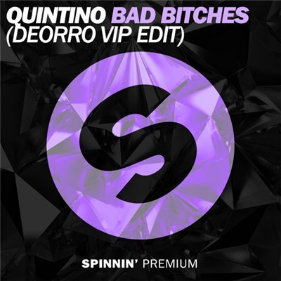 Quintino - Bad Bitches (Deorro VIP Edit) download mp3 flac